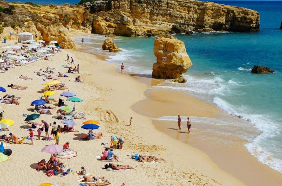 Specialist and General travel agency